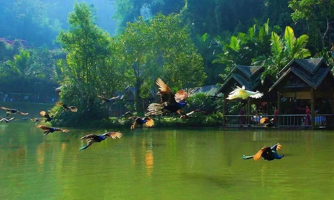 僵尸吃怪物